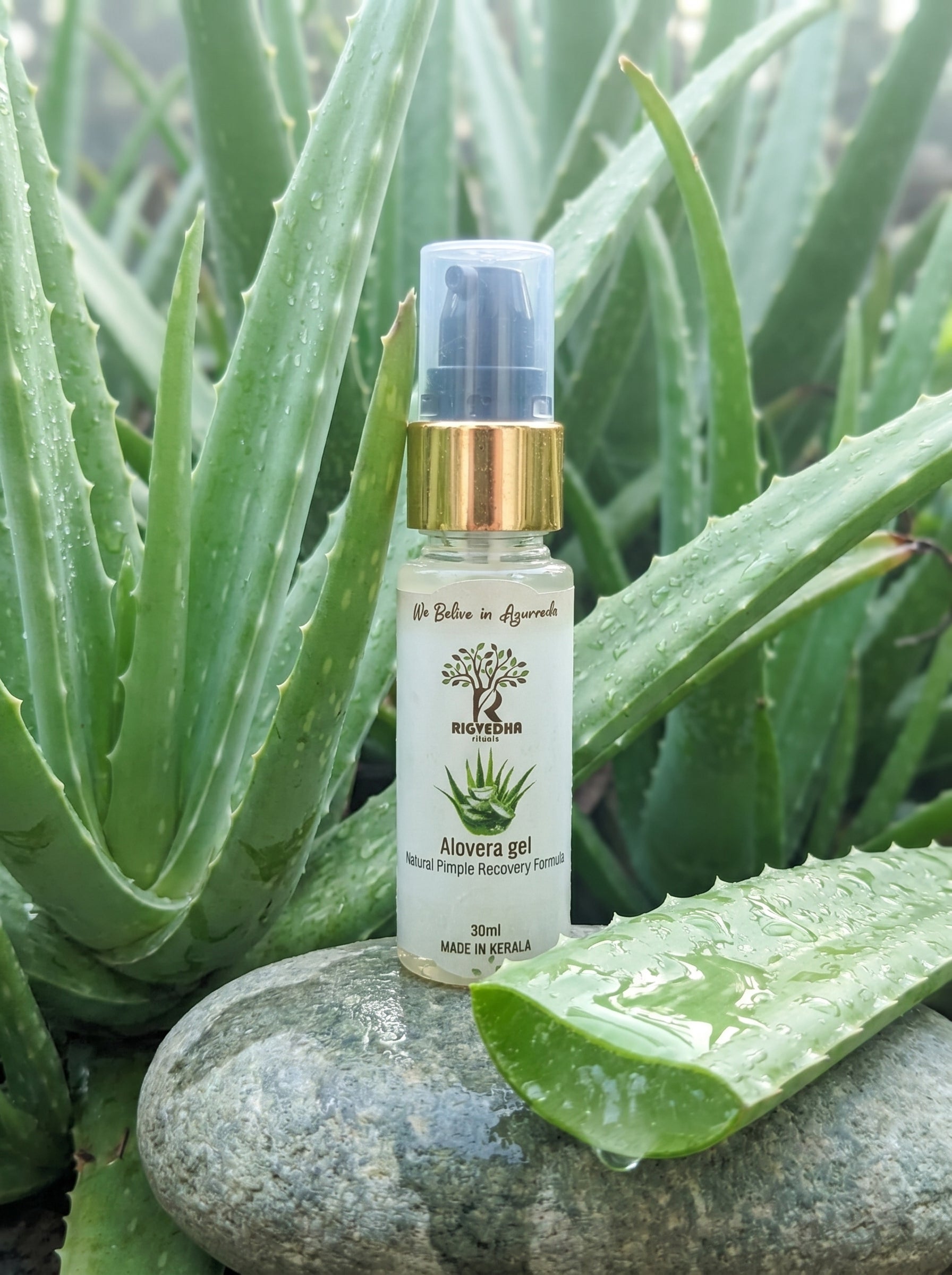 Alovera Gel for Pimples & Acne-Prone Skin | 100% Pure Real Aloe Pulp | Rigvedha Rituals Kerala